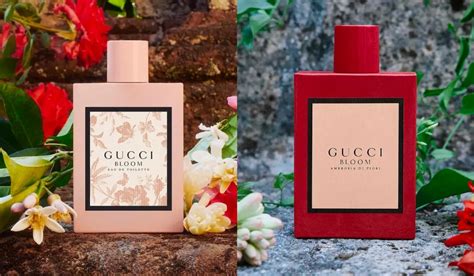 gucci bloom đỏ hay hồng|chai hoa gucci.